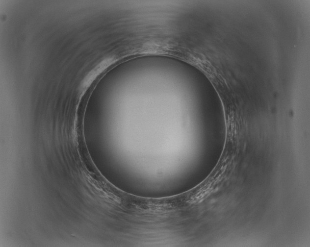 X0000078000292200611031452