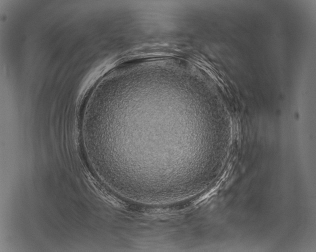 X0000078000293200611031452