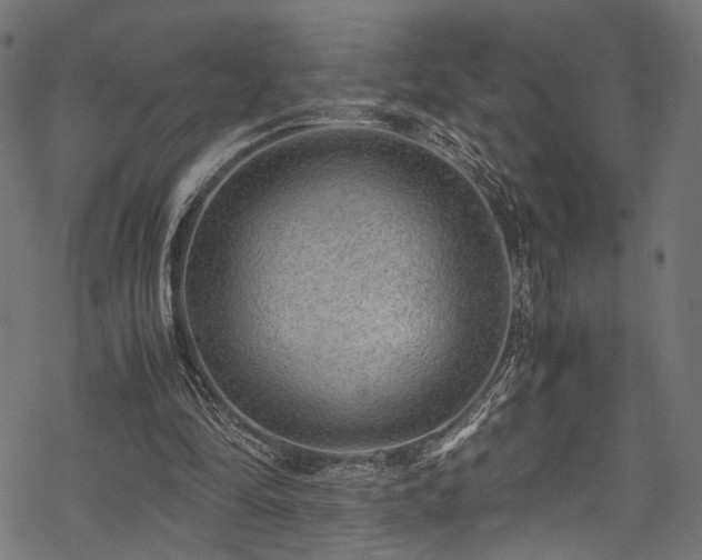 X0000078000294200611031452