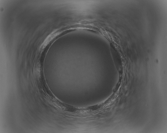 X0000078000295200611031452