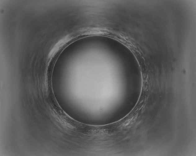X0000078000296200611031452