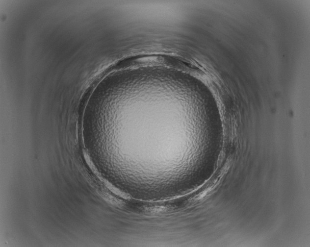 X0000078000301200611031452