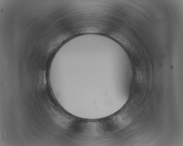 X0000078000302200611031452