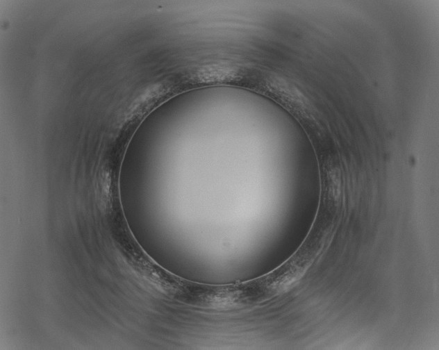 X0000078000308200611031452