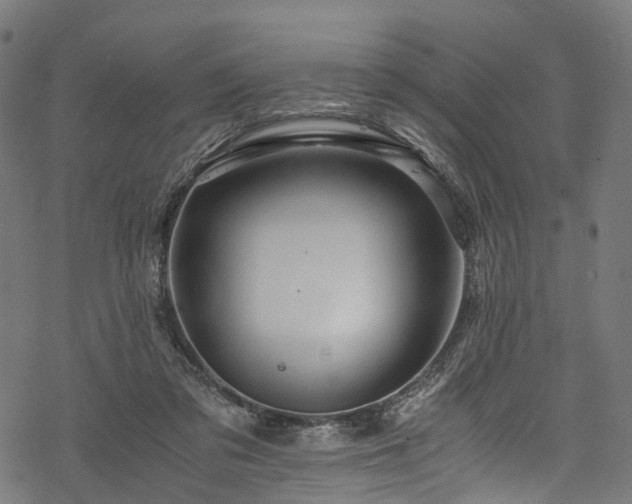X0000078000309200611031452