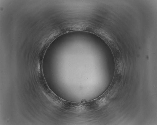 X0000078000310200611031452
