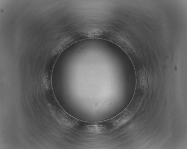 X0000078000316200611031452