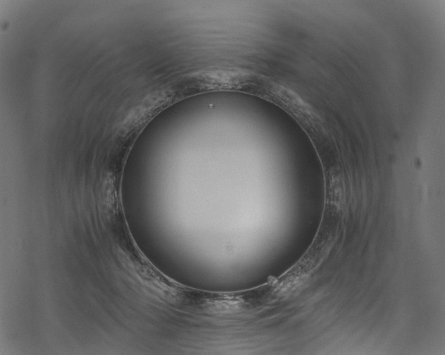 X0000078000318200611031452