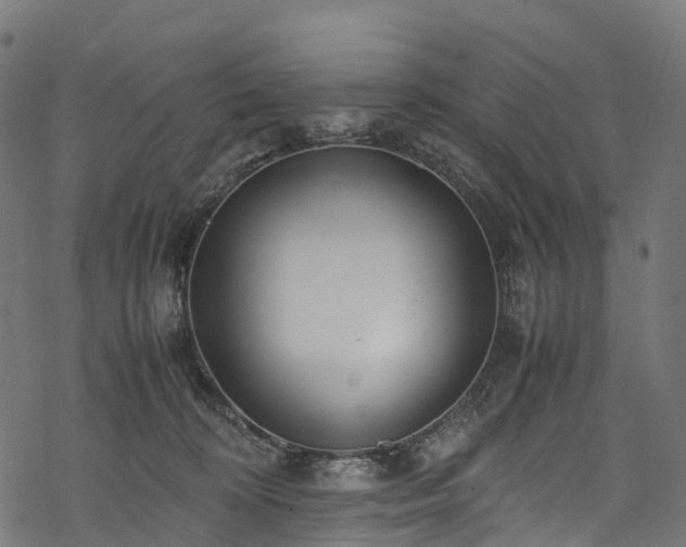 X0000078000324200611031452