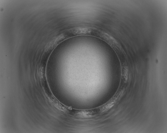 X0000078000326200611031451