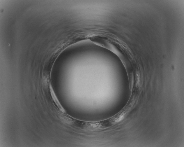 X0000078000329200611031451