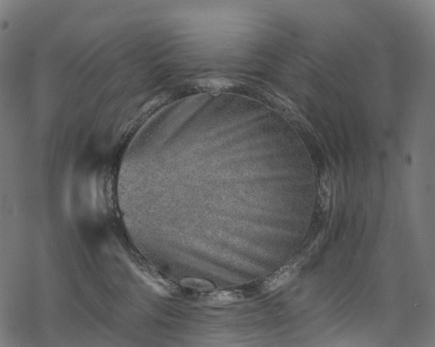 X0000078000330200611031451