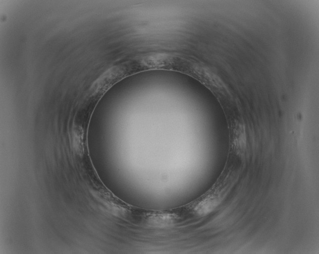 X0000078000332200611031451