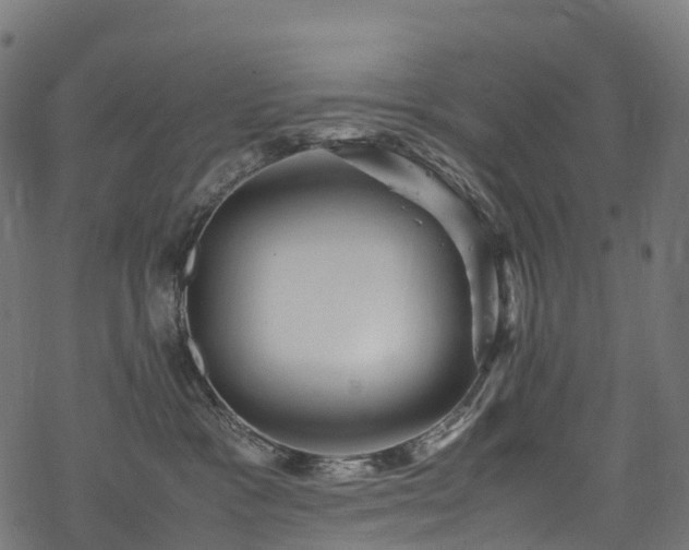 X0000078000333200611031451