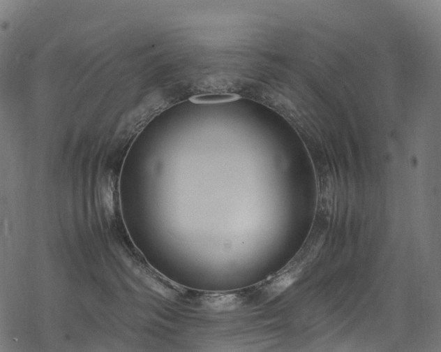 X0000078000334200611031451