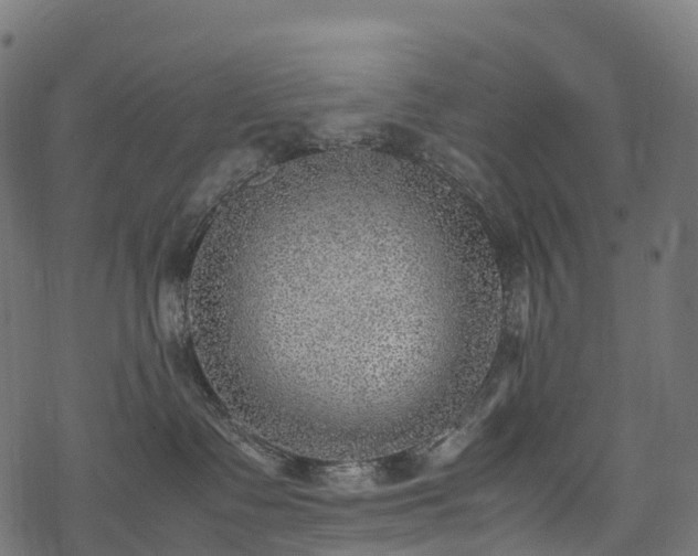 X0000078000335200611031451