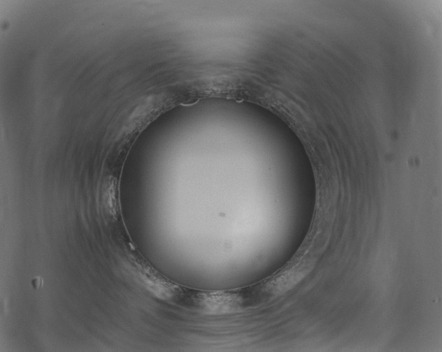 X0000078000336200611031451