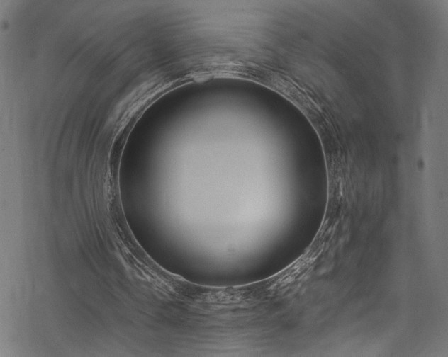 X0000078000338200611031451