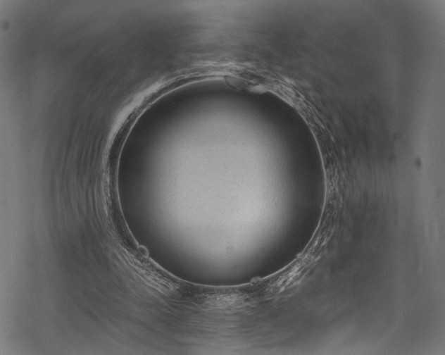 X0000078000342200611031451