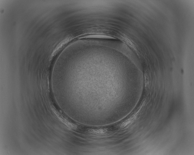 X0000078000349200611031451
