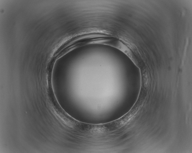 X0000078000350200611031451