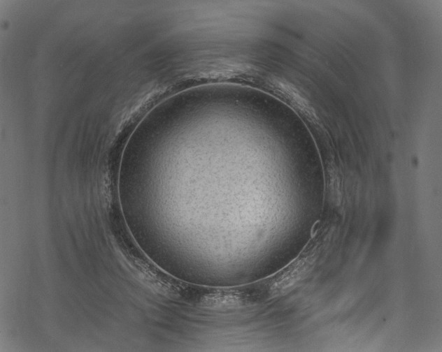 X0000078000354200611031451