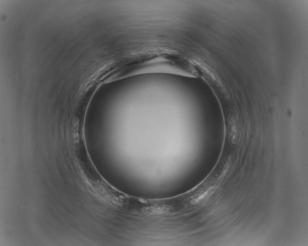 X0000078000356200611031451