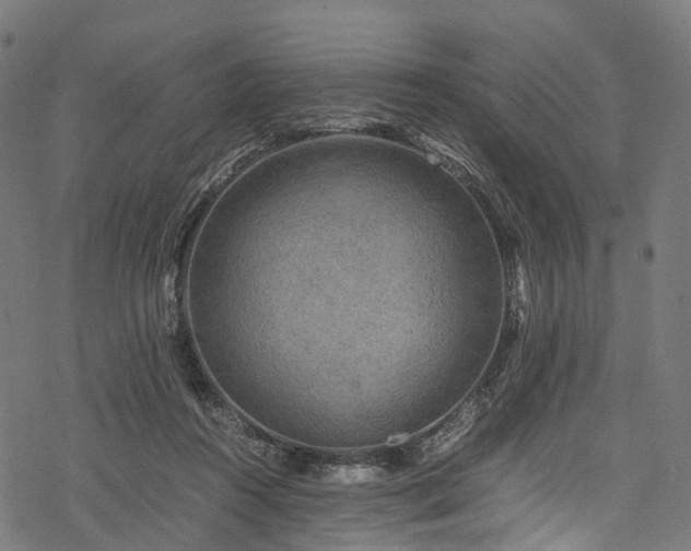X0000078000360200611031451