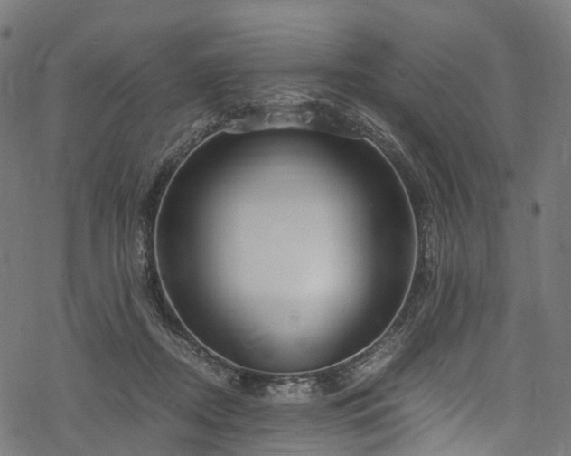 X0000078000362200611031451