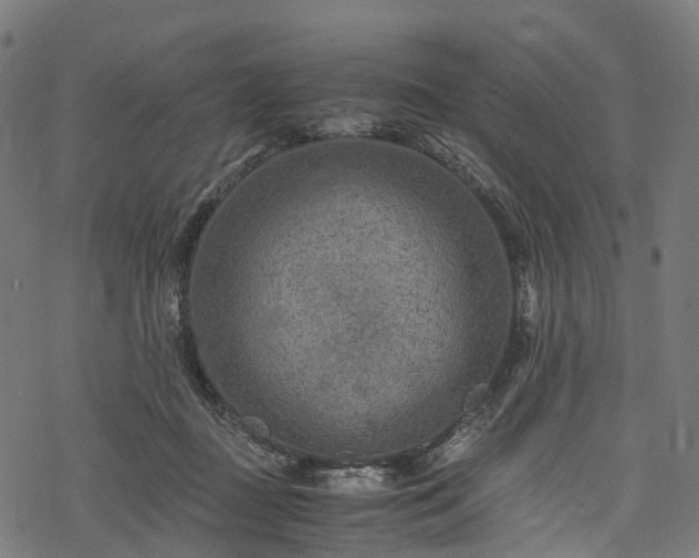 X0000078000363200611031451