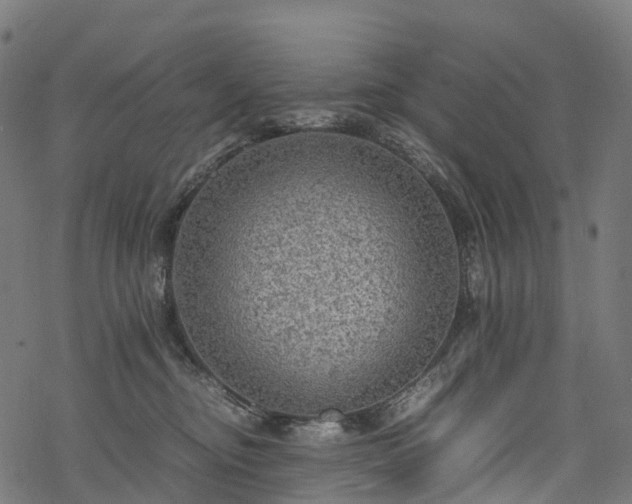 X0000078000374200611031451