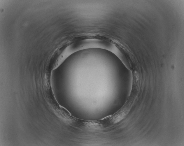 X0000078000380200611031451