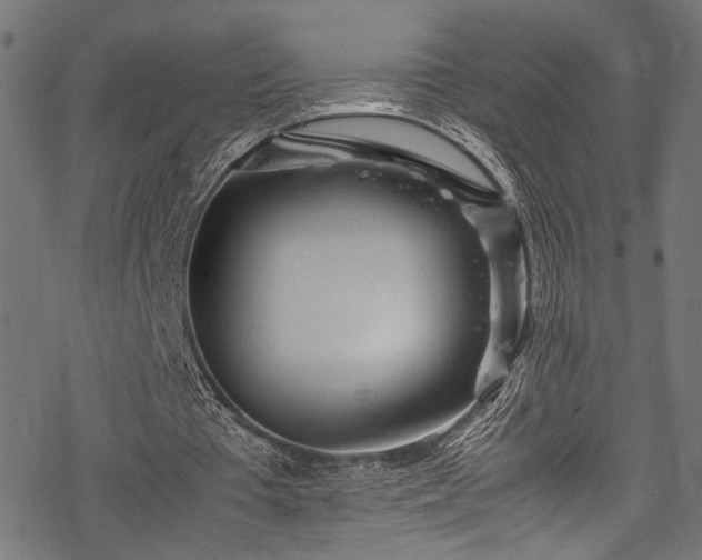 X0000078000385200611031451