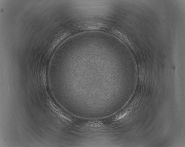 X0000078000386200611031451