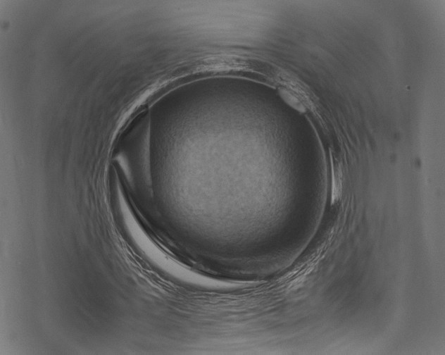 X0000078000387200611031451