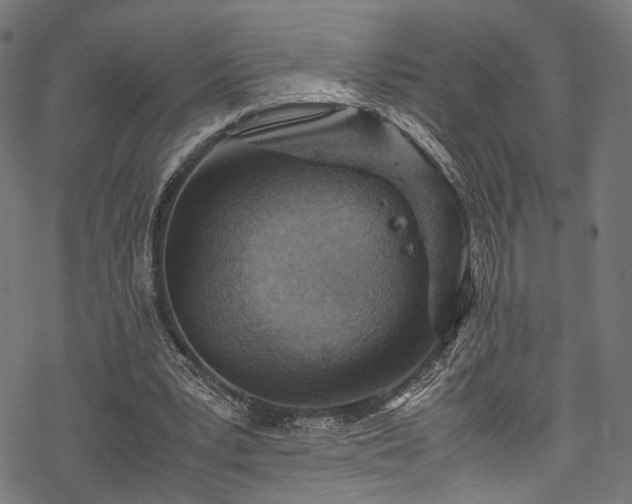 X0000078000391200611031450