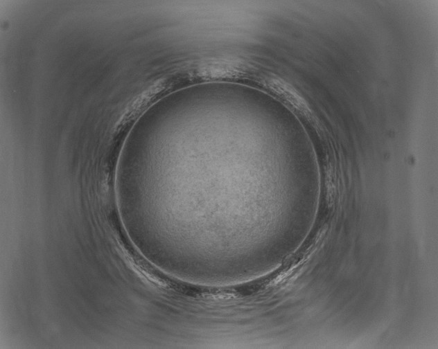 X0000078000401200611031450
