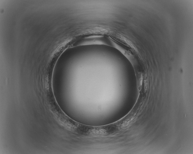 X0000078000403200611031450