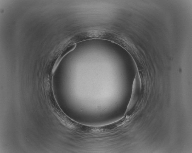 X0000078000413200611031450