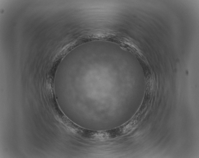 X0000078000415200611031450