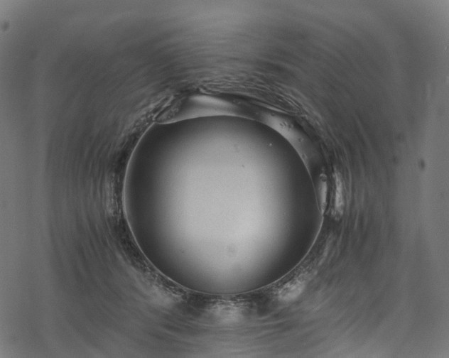 X0000078000416200611031450