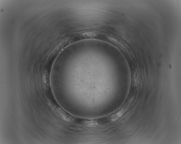 X0000078000424200611031450