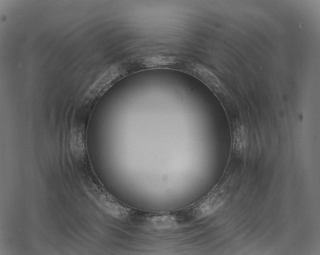 X0000078000426200611031450