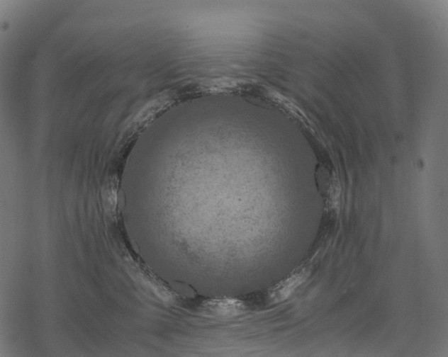 X0000078000427200611031450