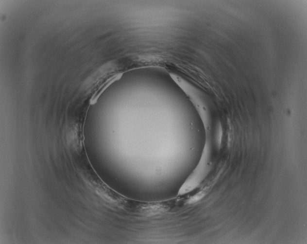 X0000078000428200611031450