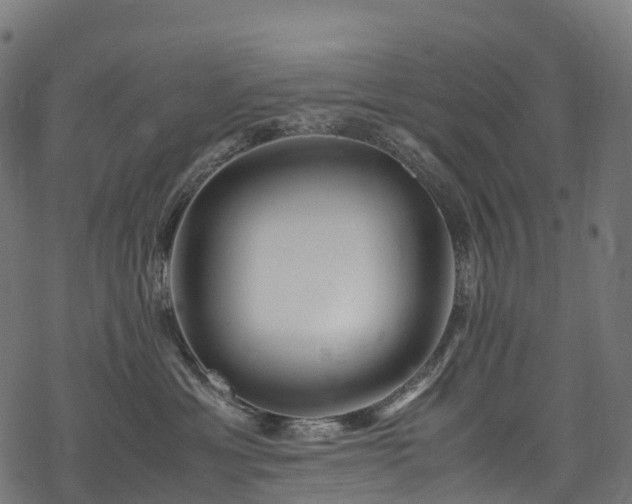 X0000078000429200611031450
