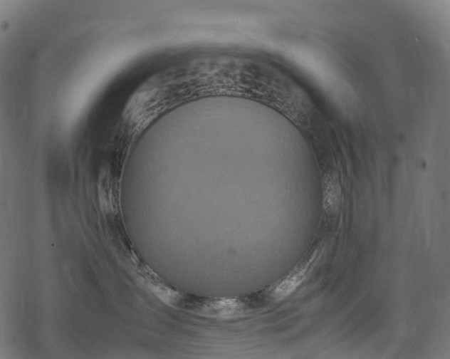 X0000078000431200611031450