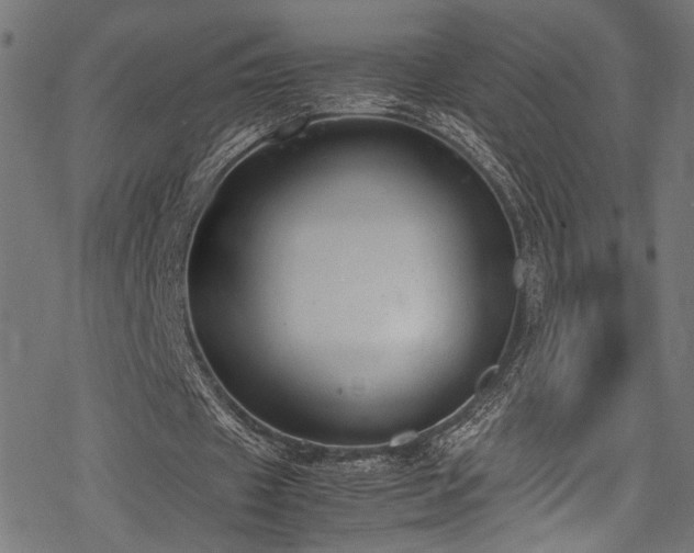 X0000078000433200611031449