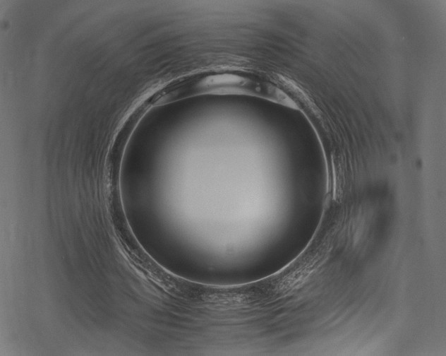 X0000078000435200611031449