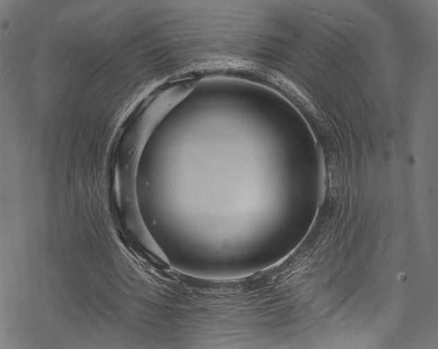 X0000078000436200611031449